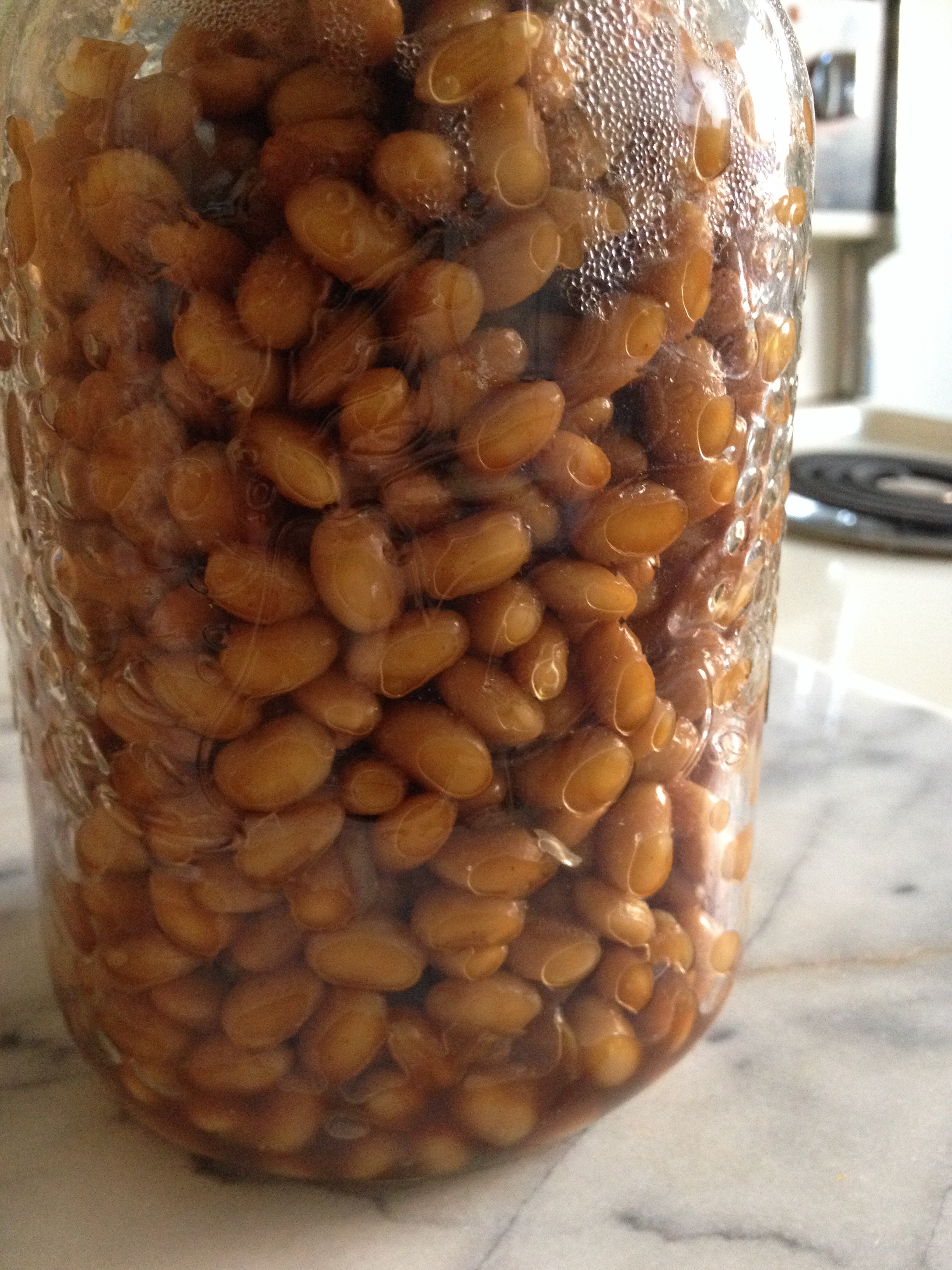 Jarred beans ready to go