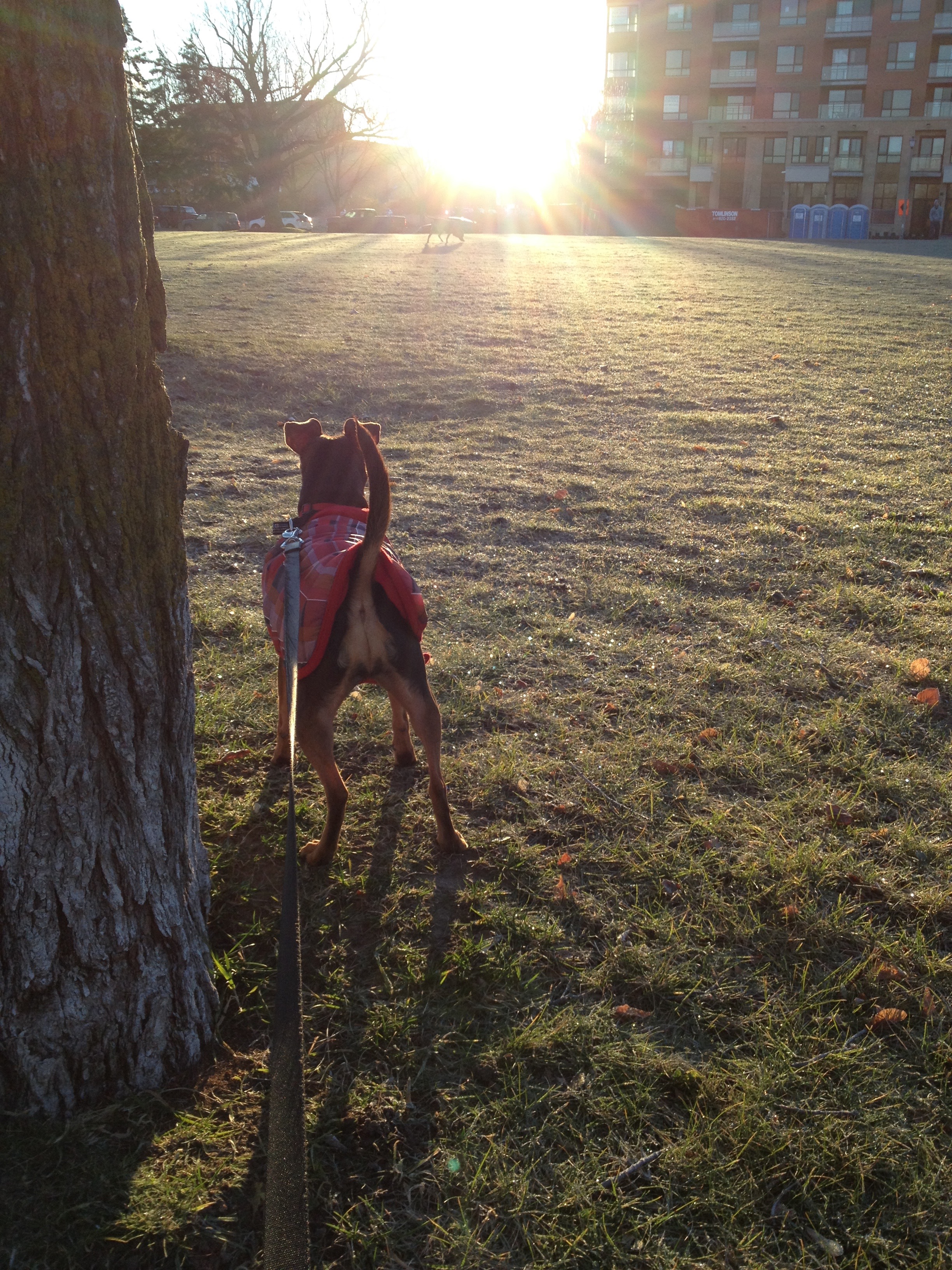 Every day should start with the sun glowing brightly and a MINPINBUTT