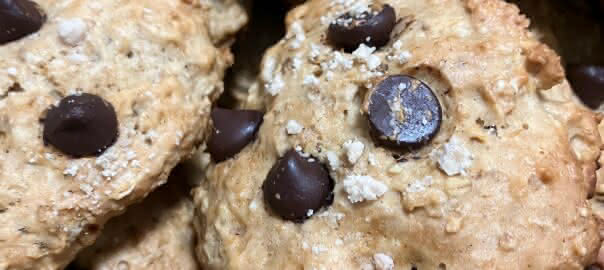 Oatmeal muffin cookies with chocolate chips on top